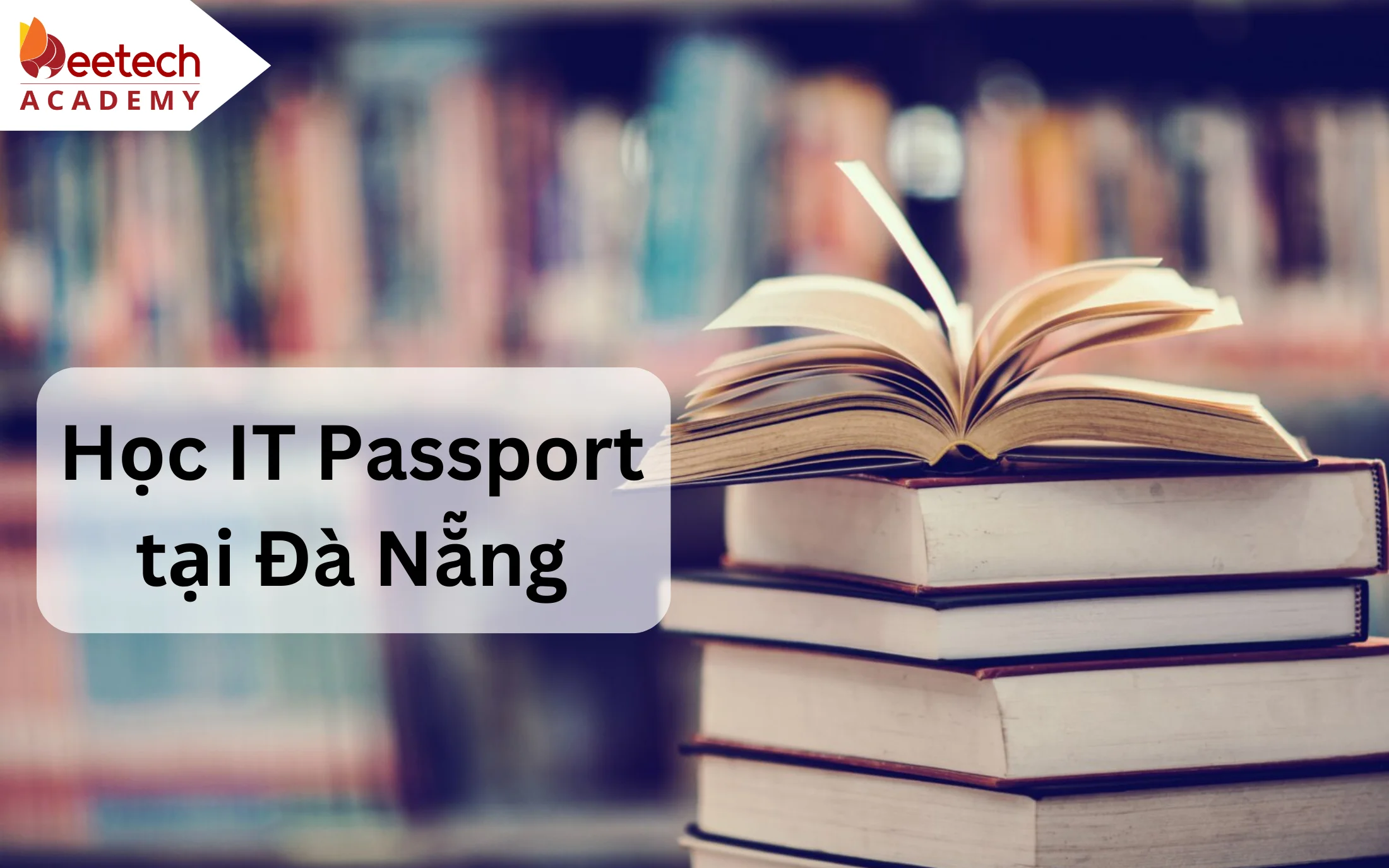 hoc it passport tai Da Nang 1