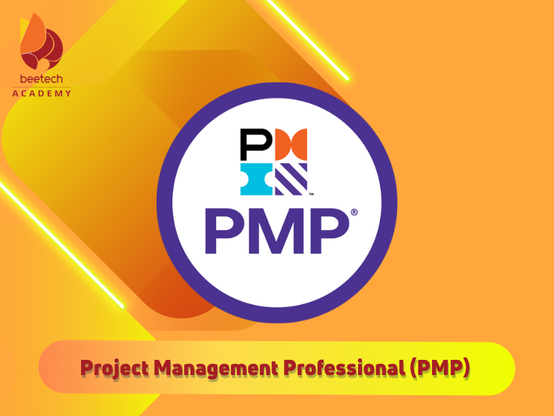 Project Management Professional (PMP)