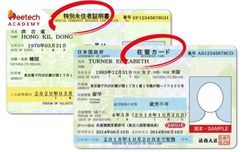 dao tao chung chi IP 2